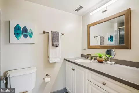 Bath - 2100 Washington Ave #8-D, Silver Spring, MD 20910 photo 2 of 3