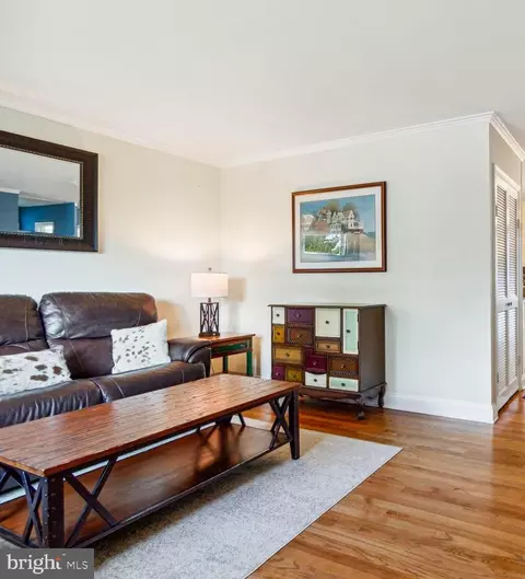 12121 Livingston St, Silver Spring, MD 20902 photo 4