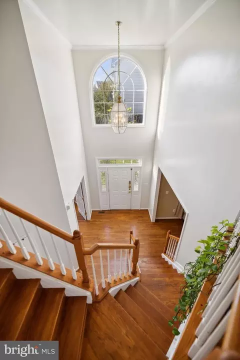 Entry Way - 13129 Venetian Rd, Silver Spring, MD 20904 photo 3 of 4