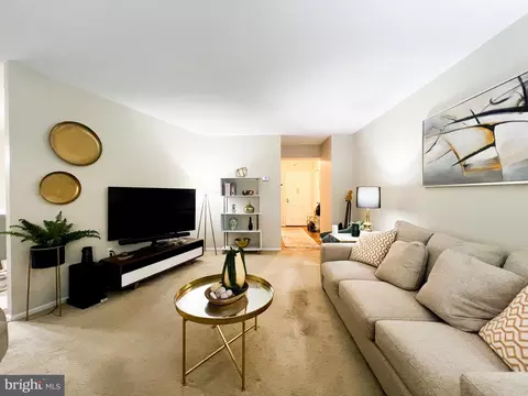 15115 Interlachen Dr #3-404, Silver Spring, MD 20906 photo 10