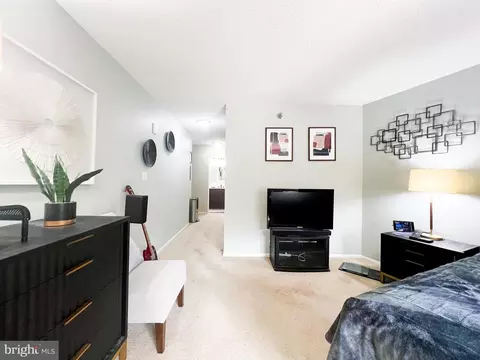 15115 Interlachen Dr #3-404, Silver Spring, MD 20906 photo 46