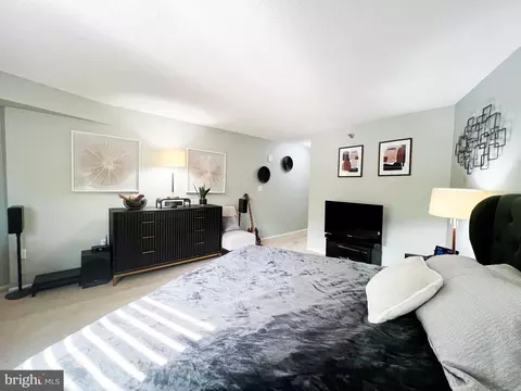 15115 Interlachen Dr #3-404, Silver Spring, MD 20906 photo 45
