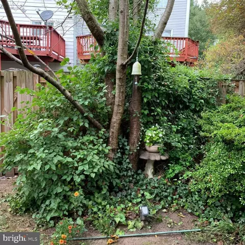2723 Ashmont Ter, Silver Spring, MD 20906 photo 5