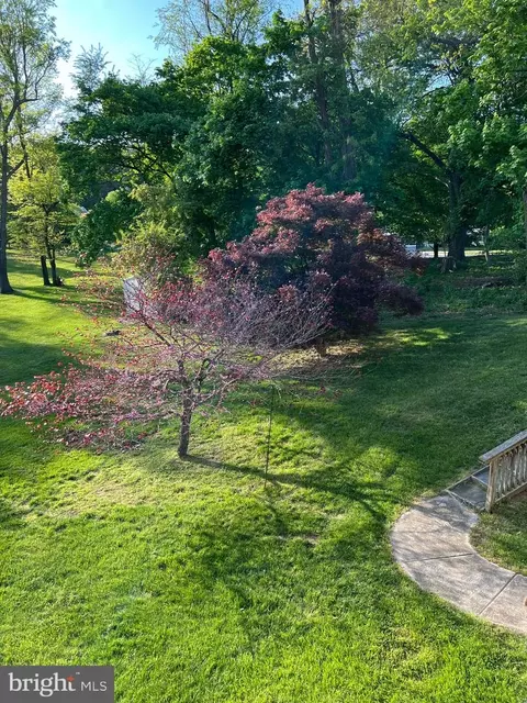 11816 Kemp Mill Rd, Silver Spring, MD 20902 photo 64
