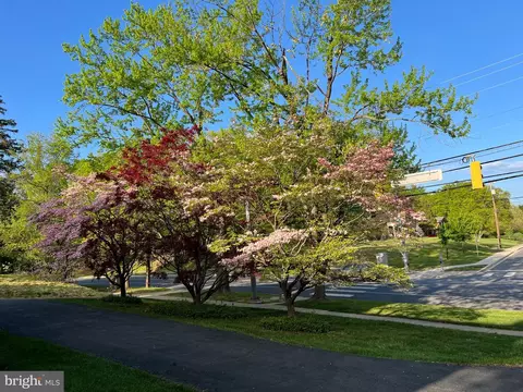 11816 Kemp Mill Rd, Silver Spring, MD 20902 photo 65