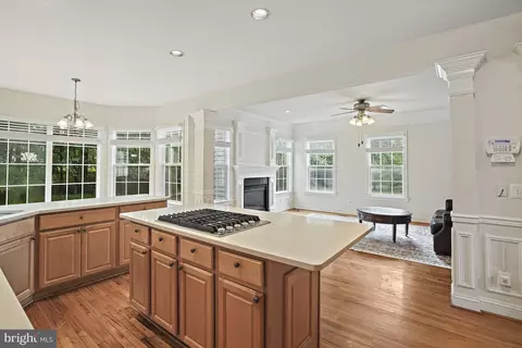 15601 Thompson Rd, Silver Spring, MD 20905 photo 19