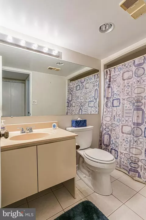 Bath - 15101 Interlachen Dr #1-504, Silver Spring, MD 20906 photo 4 of 4