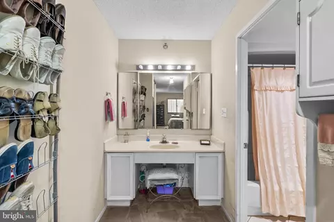 15115 Interlachen Dr #3-615, Silver Spring, MD 20906 photo 21