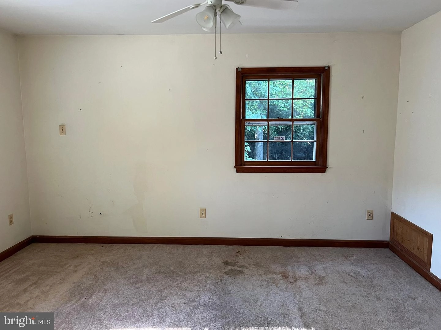 317 Williamsburg Dr, Silver Spring, MD 20901 photo 17