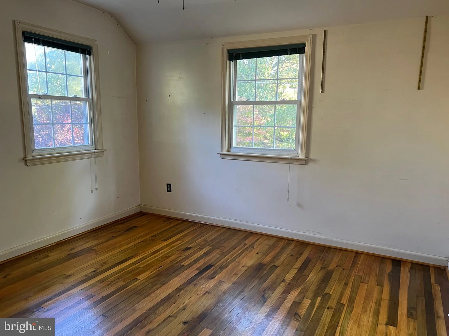 317 Williamsburg Dr, Silver Spring, MD 20901 photo 20