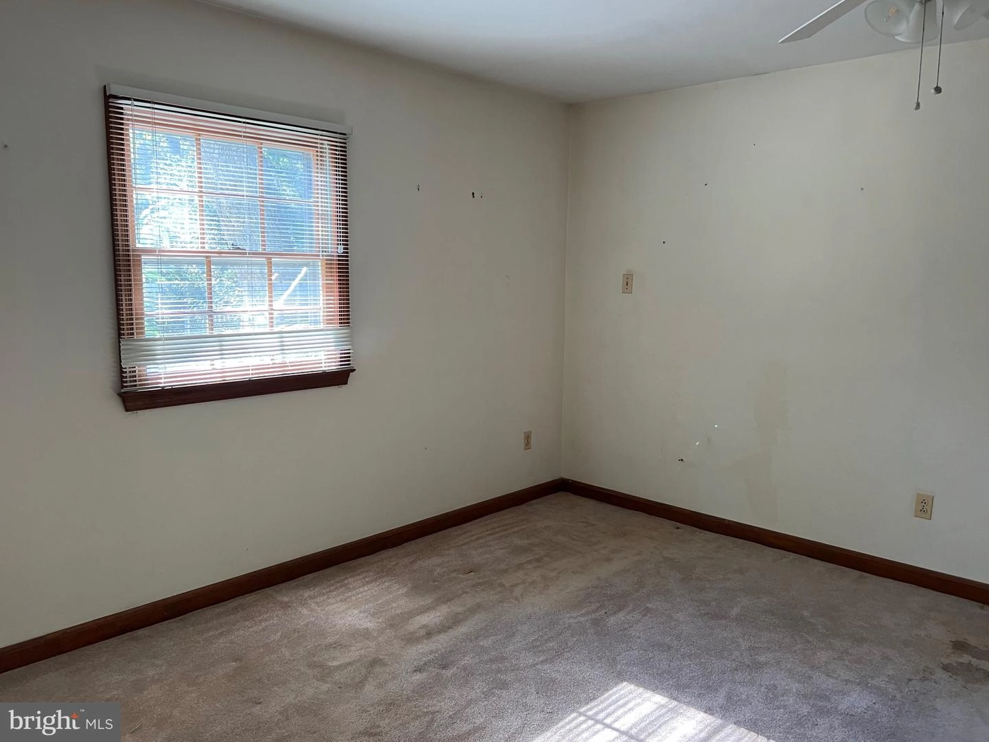 317 Williamsburg Dr, Silver Spring, MD 20901 photo 16