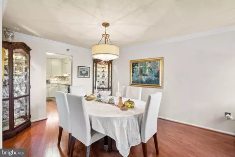 15107 Interlachen Dr #818, Silver Spring, MD 20906 photo 17
