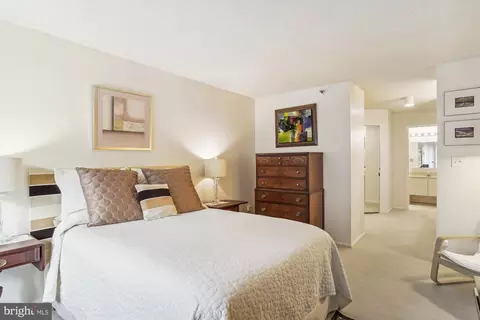 15107 Interlachen Dr #2-209, Silver Spring, MD 20906 photo 17