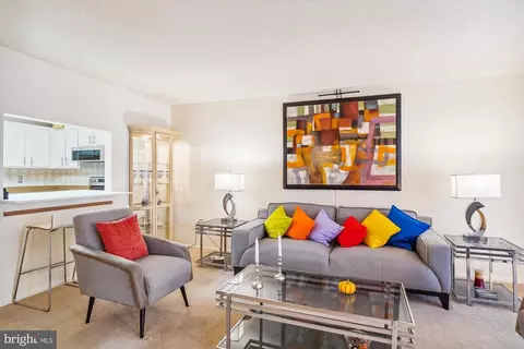 15107 Interlachen Dr #2-209, Silver Spring, MD 20906 photo 7
