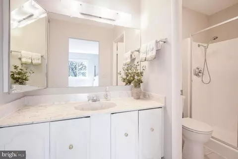 Bath - 15006 Haslemere Ct #265-D, Silver Spring, MD 20906 photo 2 of 3