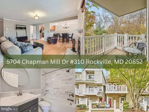 5704 Chapman Mill Dr #310, Rockville, MD 20852