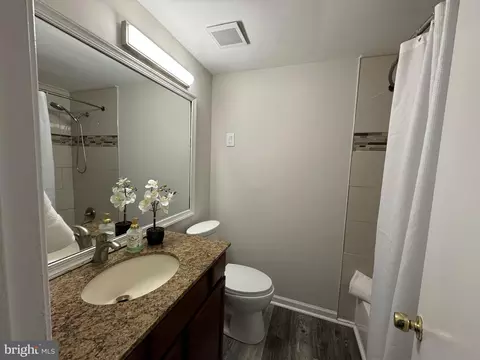 Bath - 21 Habersham Ct, Silver Spring, MD 20906 photo 3 of 4