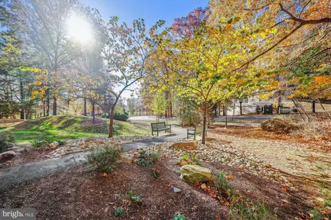15115 Interlachen Dr #3-115, Silver Spring, MD 20906 photo 6