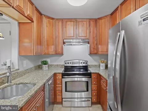4104 Peppertree Ln #4104, Silver Spring, MD 20906 photo 19
