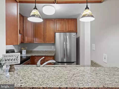 4104 Peppertree Ln #4104, Silver Spring, MD 20906 photo 23