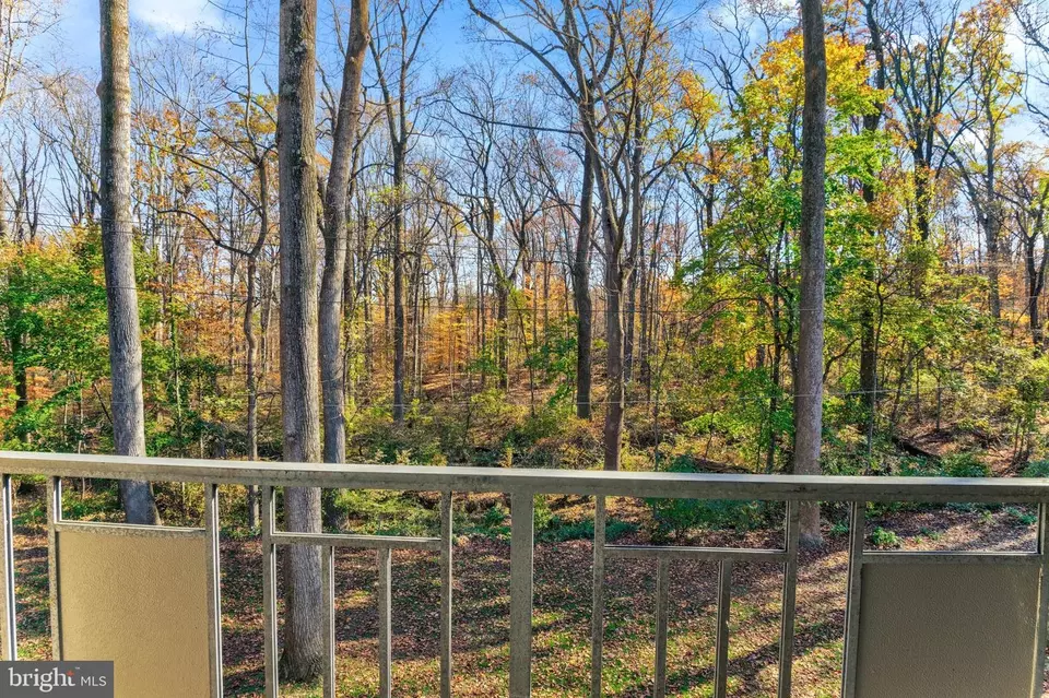  12411 Braxfield Ct #536, Rockville, MD 20852 photo 7