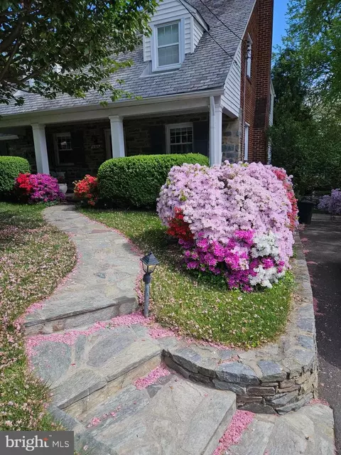 10209 Edgewood Ave, Silver Spring, MD 20901 photo 11