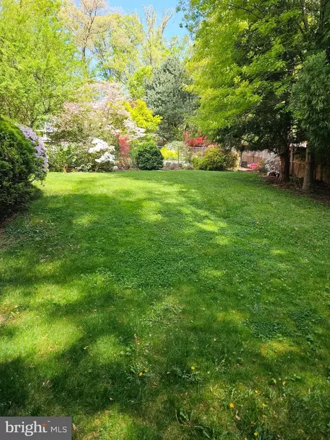 10209 Edgewood Ave, Silver Spring, MD 20901 photo 28