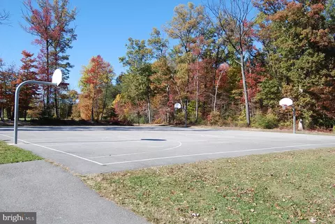 13601 Cedar Creek Ln, Silver Spring, MD 20904 photo 34