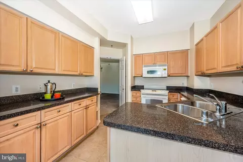 Kitchen - 3100 N Leisure World Blvd #220, Silver Spring, MD 20906 photo 3 of 7