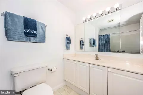 Bath - 3100 N Leisure World Blvd #220, Silver Spring, MD 20906 photo 4 of 5