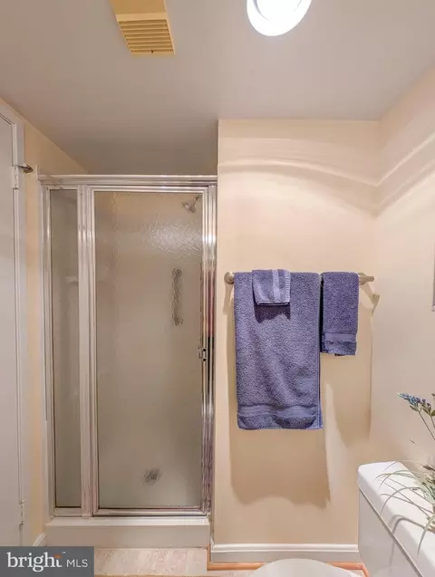 Bath - 15100 Interlachen Dr #4-608, Silver Spring, MD 20906 photo 3 of 3