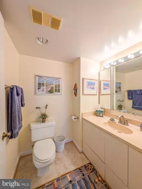 Bath - 15100 Interlachen Dr #4-608, Silver Spring, MD 20906 photo 2 of 3