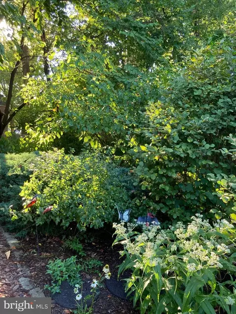 9016 Walden Rd, Silver Spring, MD 20901 photo 57