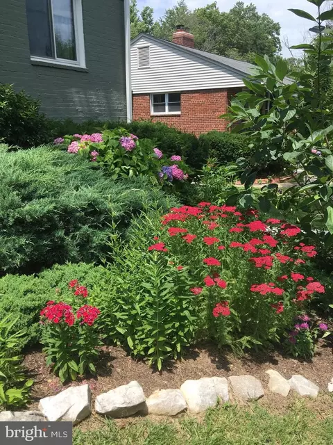 9016 Walden Rd, Silver Spring, MD 20901 photo 53