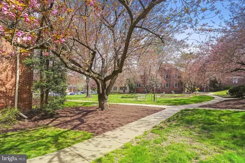 Exterior - 2244 Washington Ave #102, Silver Spring, MD 20910 photo 5 of 12