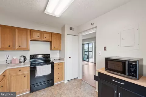 15101 Interlachen Dr #1-1011, Silver Spring, MD 20906 photo 15