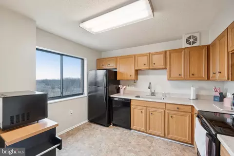 15101 Interlachen Dr #1-1011, Silver Spring, MD 20906 photo 14