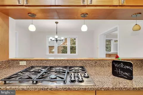 9403 Crosby Rd, Silver Spring, MD 20910 photo 23