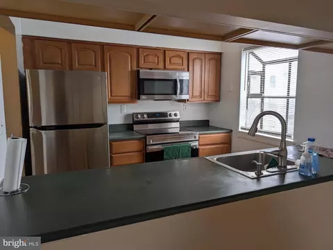 13402 Shady Knoll Dr #204, Silver Spring, MD 20904 photo 13