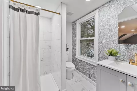 Bath - 702 Dale Dr, Silver Spring, MD 20910 photo 4 of 5