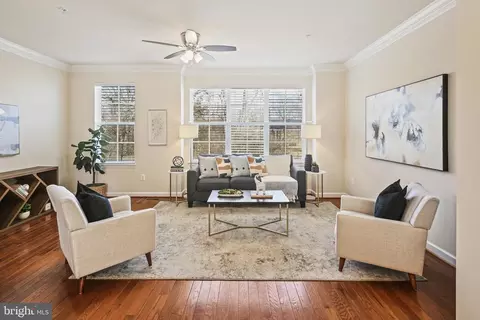 Living - 3622 Clara Downey Ave, Silver Spring, MD 20906 photo 3 of 3