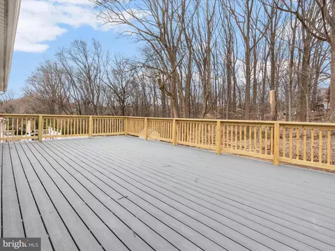 9748 Hedin Dr, Silver Spring, MD 20903 photo 8