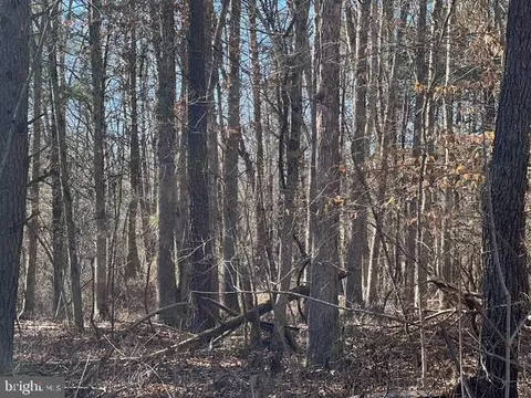 Hoyles Mill Road, Boyds, MD 20841 photo 3