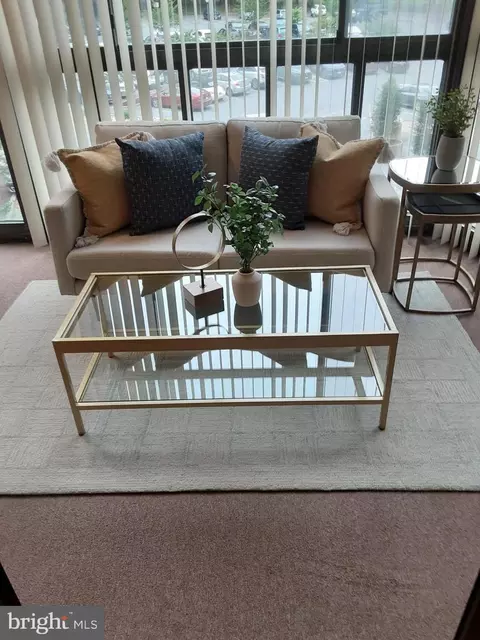 15100 Interlachen Dr #4-221, Silver Spring, MD 20906 photo 2