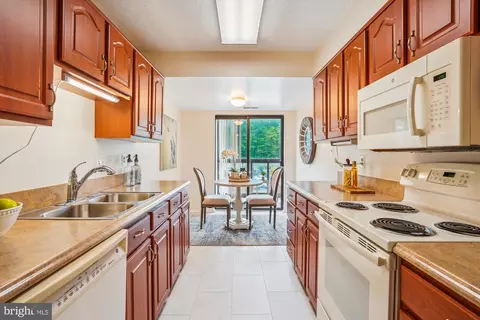 15100 Interlachen Dr #4-221, Silver Spring, MD 20906 photo 22