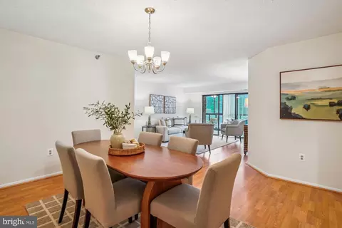 15100 Interlachen Dr #4-221, Silver Spring, MD 20906 photo 9