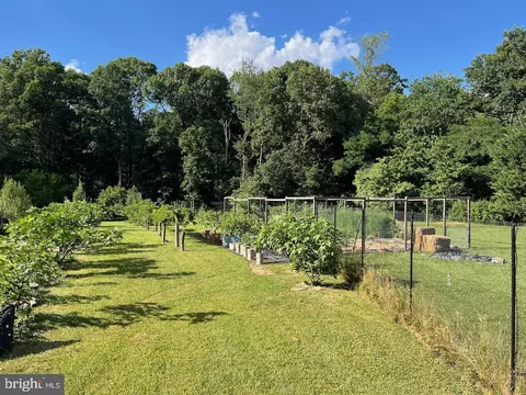 Other - 21030 Peach Tree Rd, Dickerson, MD 20842 photo 1 of 29