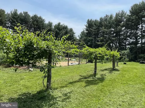 Exterior - 21030 Peach Tree Rd, Dickerson, MD 20842 photo 7 of 13