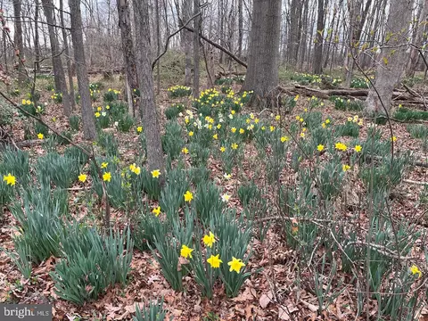 Other - 21030 Peach Tree Rd, Dickerson, MD 20842 photo 24 of 29