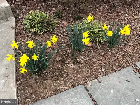 Other - 2011 Lanier Dr, Silver Spring, MD 20910 photo 14 of 16